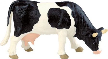 Vache noire et blanche b62442