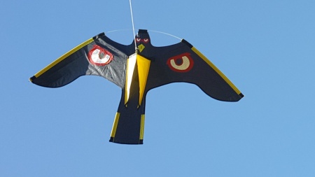 Cerf-volant noir motif oeil