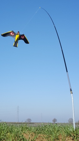 Cerf-volant oeil +pivot +mat 4m