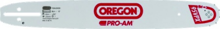 Guide Oregon 30 cm / 3/8\  / 45 entraineurs
