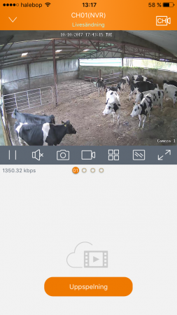 Kit Caméra de surveillance Farm Cam HD - Luda Farm
