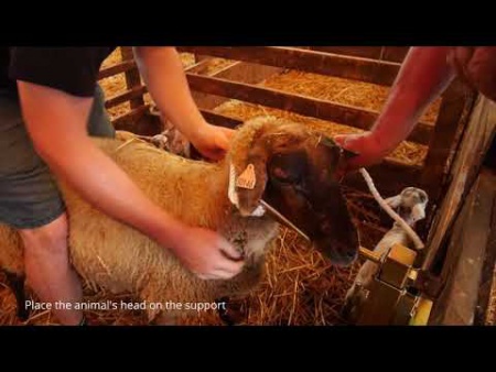 Support de contention pour ovins et bovins KAMER